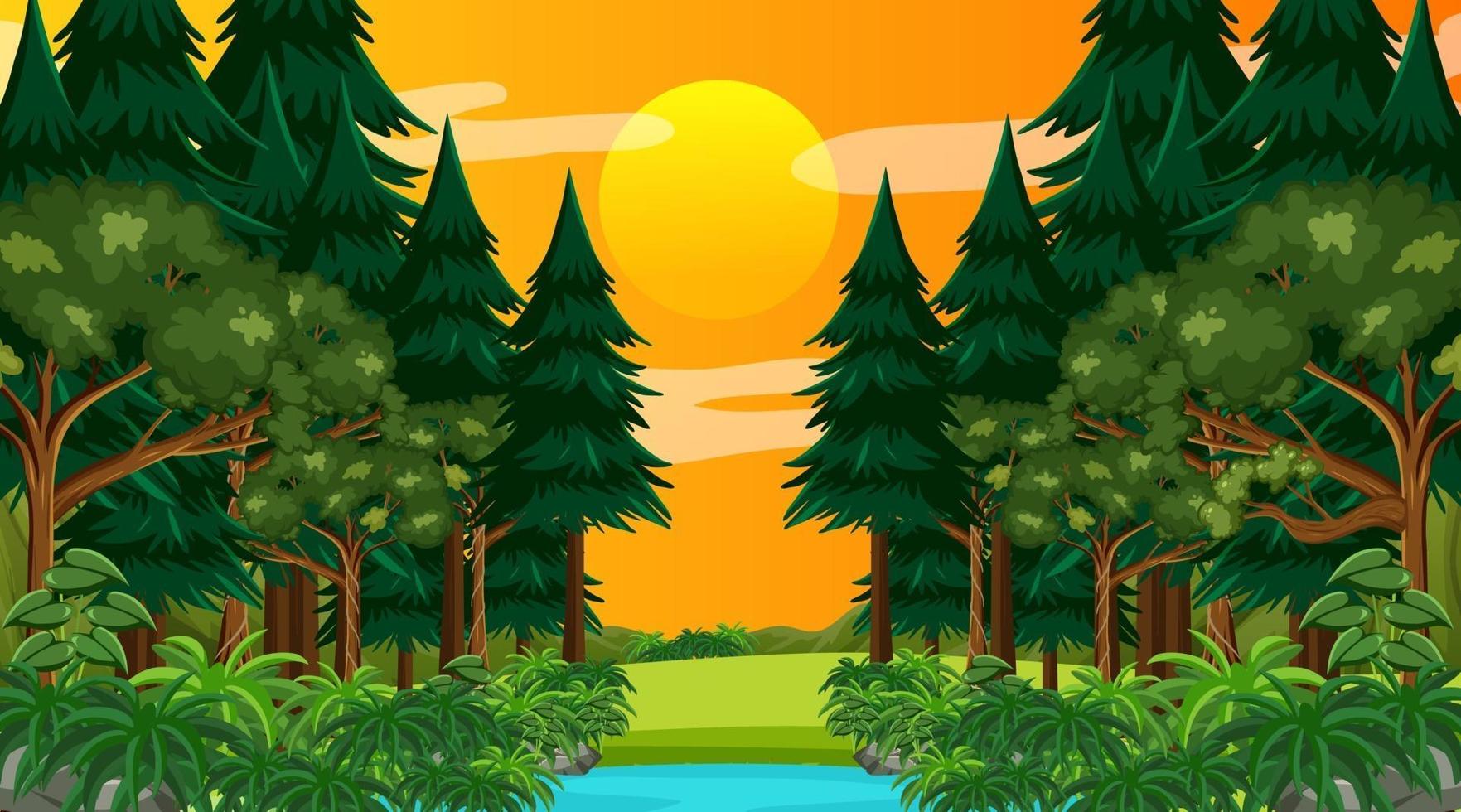 bosque lluvioso o bosque tropical en la escena del atardecer vector