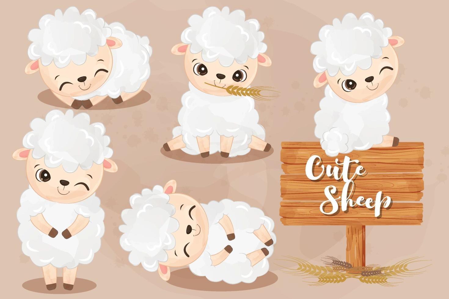Cute little sheeps collection in watercolor vector