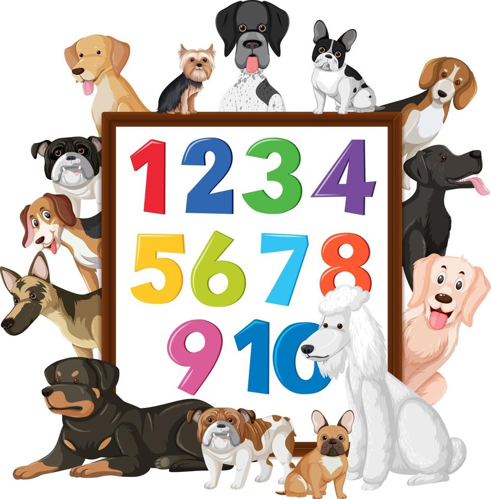 número 0 a 9 en pancarta con muchos tipos diferentes de perros vector