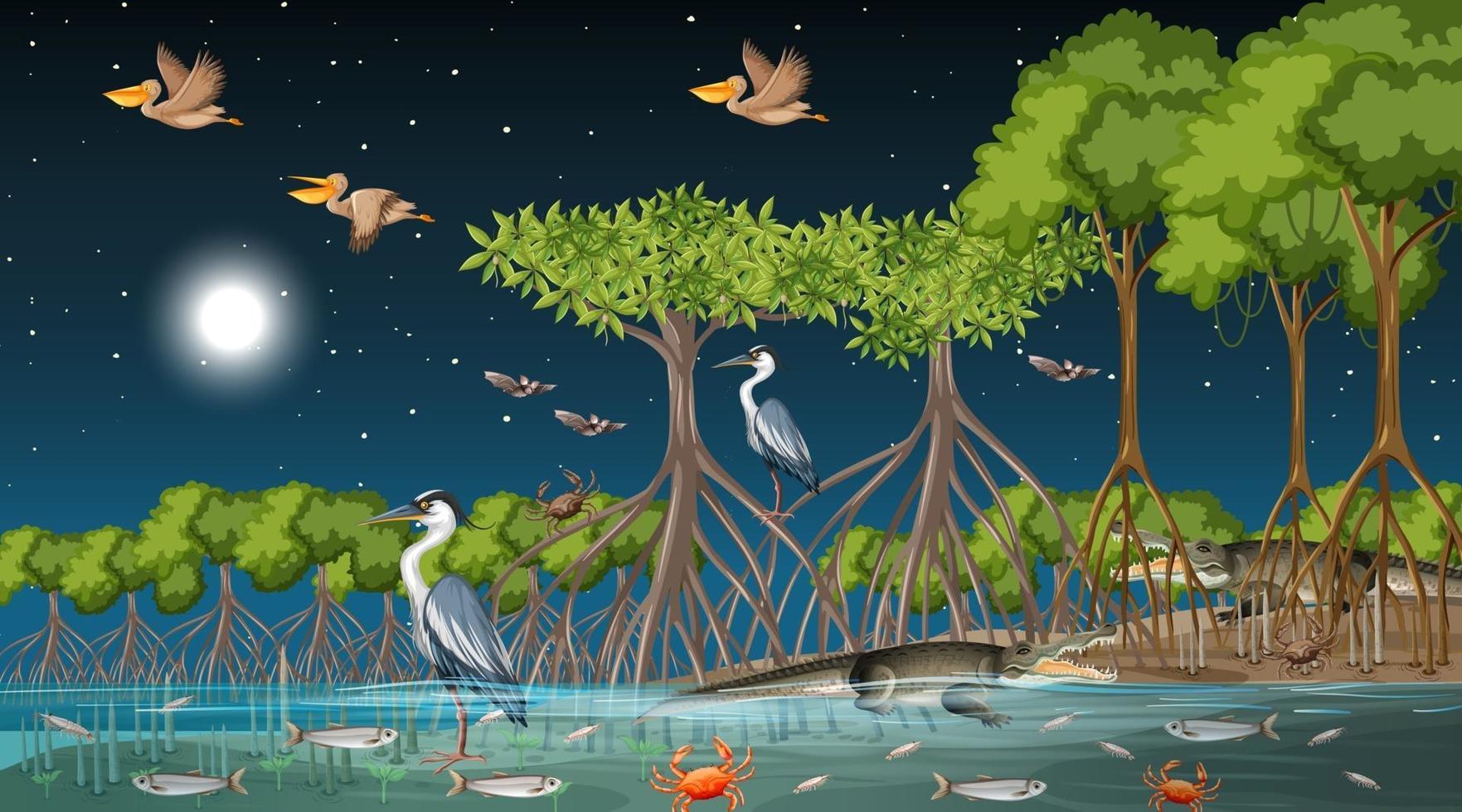 Mangrove forest landscape scene at night with many different animals vector