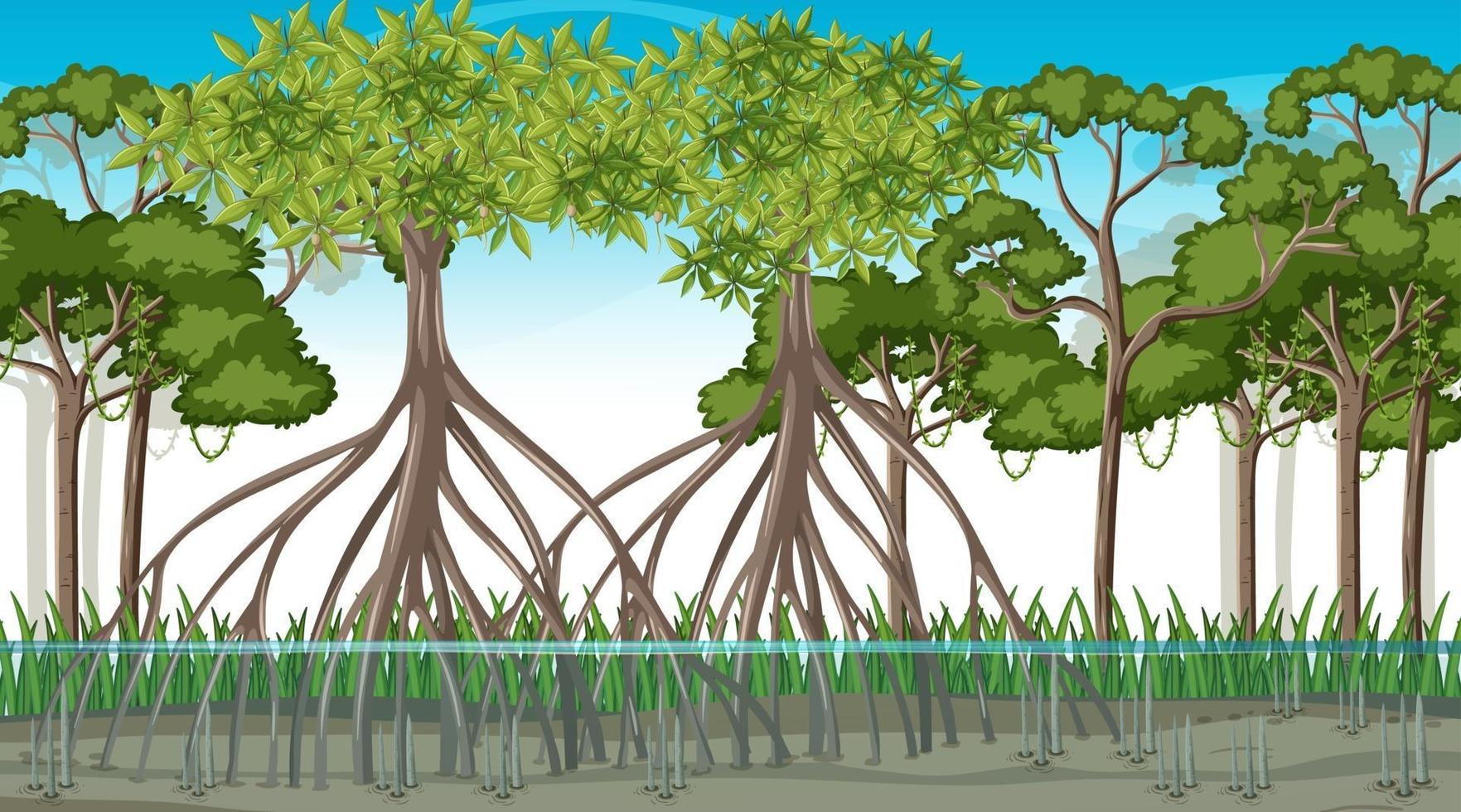 Nature scene with Mangrove forest at daytime in cartoon style vector