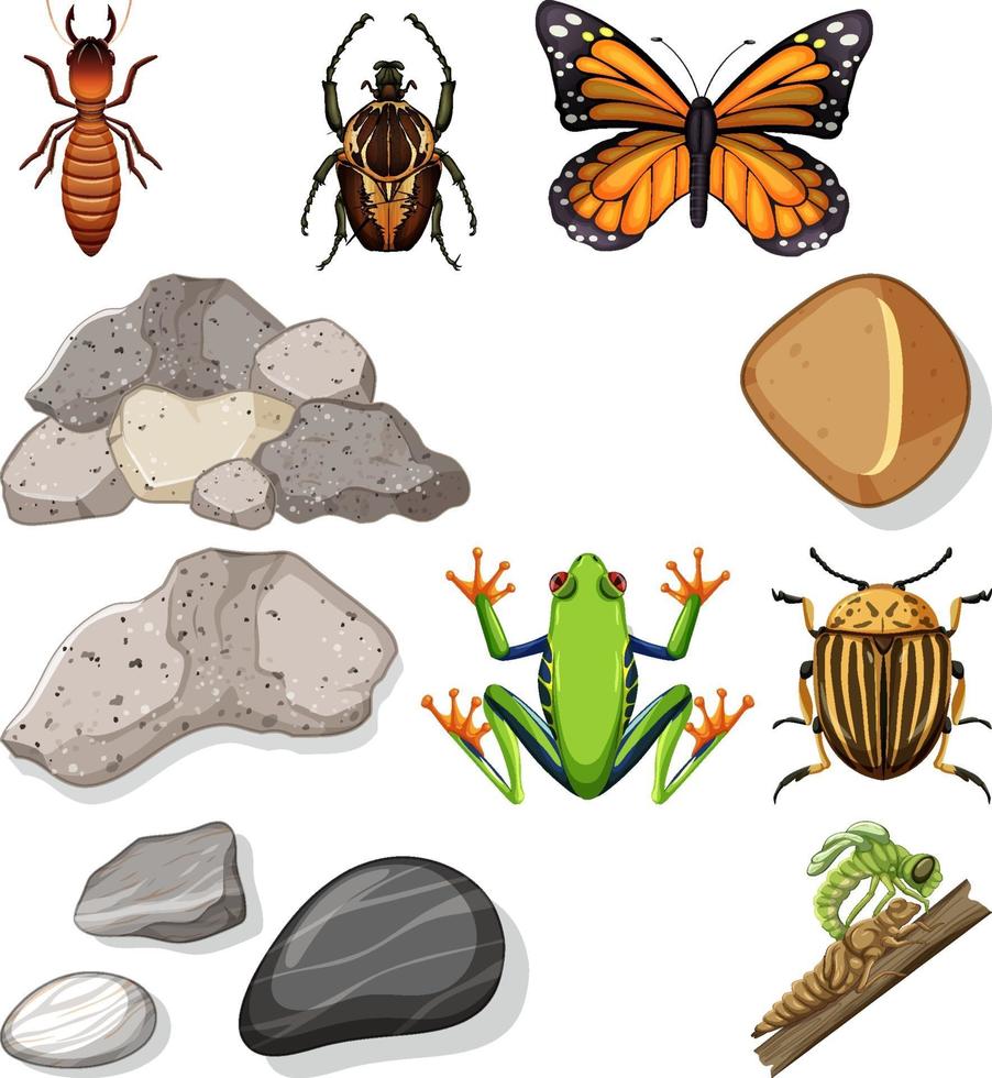 Different types of insect with nature elements vector