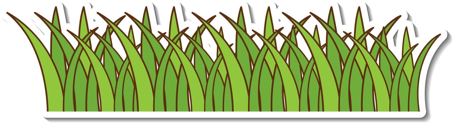 Geen grass sticker on white background vector