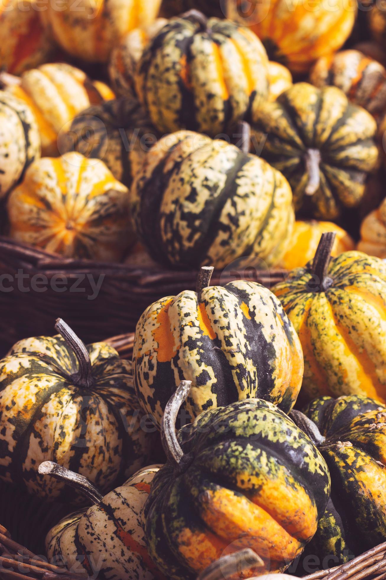 Montón de mini calabazas decorativas y calabazas, en el fondo de otoño del mercado de agricultores locales foto