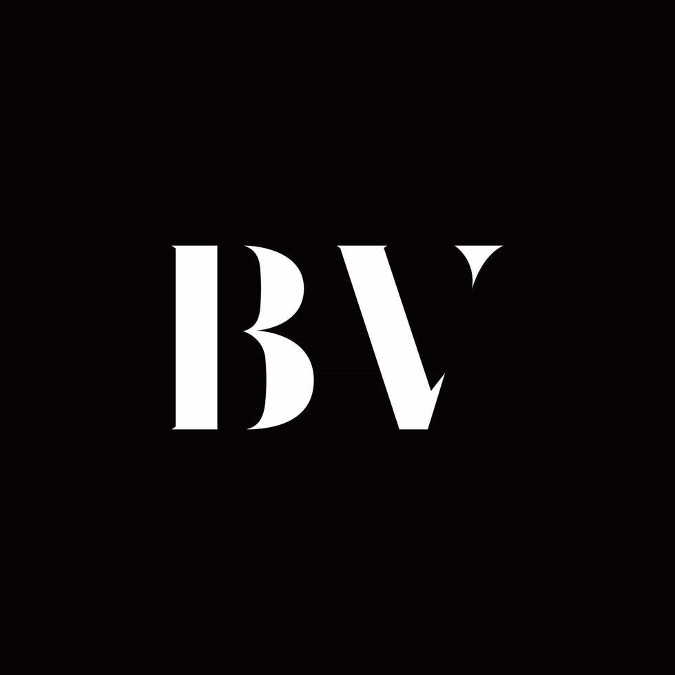 BV Logo Letter Initial Logo Designs Template vector