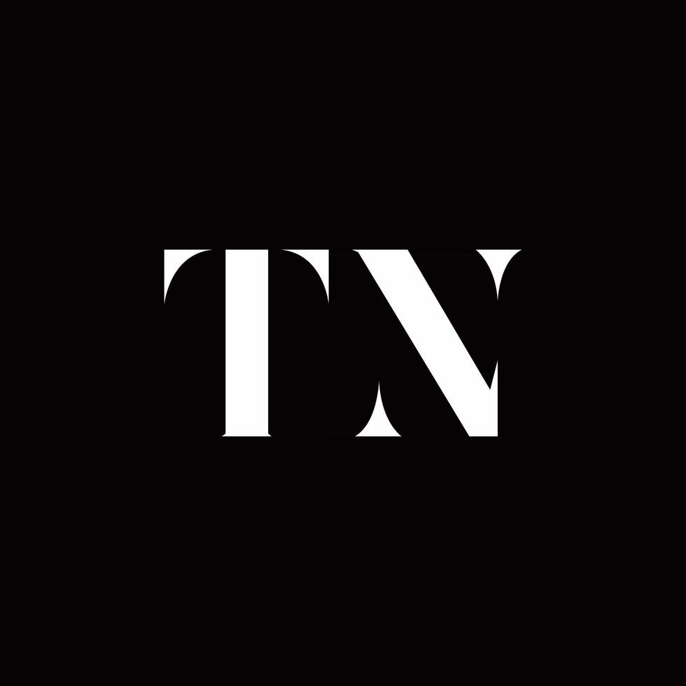 tn logo letter inicial logo diseños plantilla vector