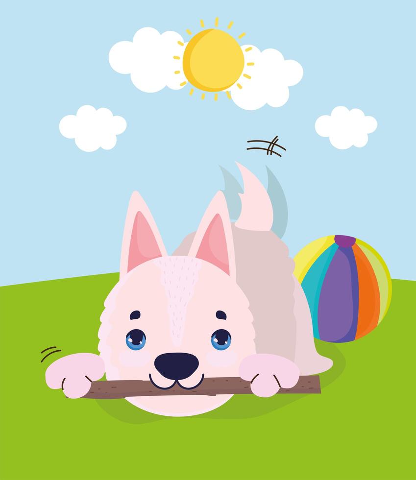 cute dog playing vector