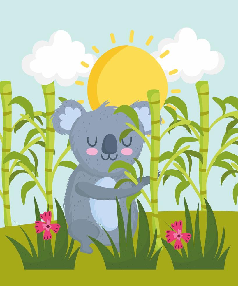 lindo koala en el bosque vector