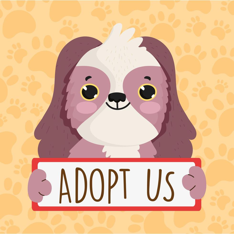 cute dog adopt us vector