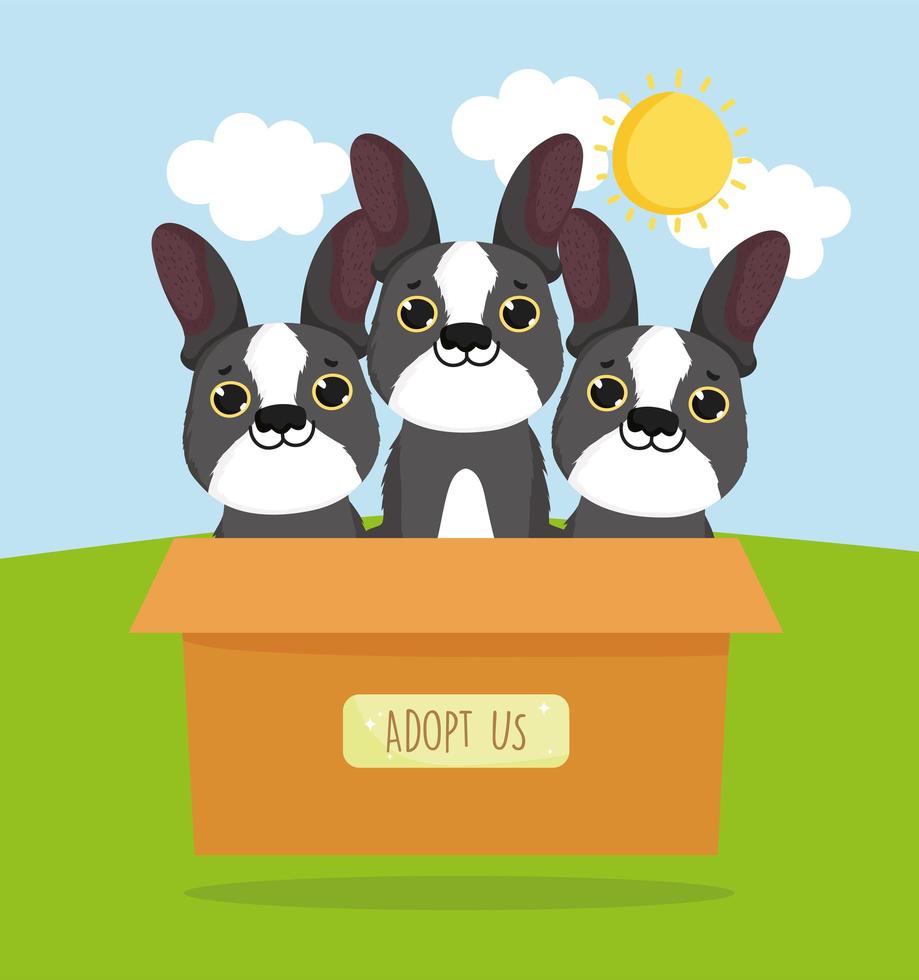 french bulldog on box vector