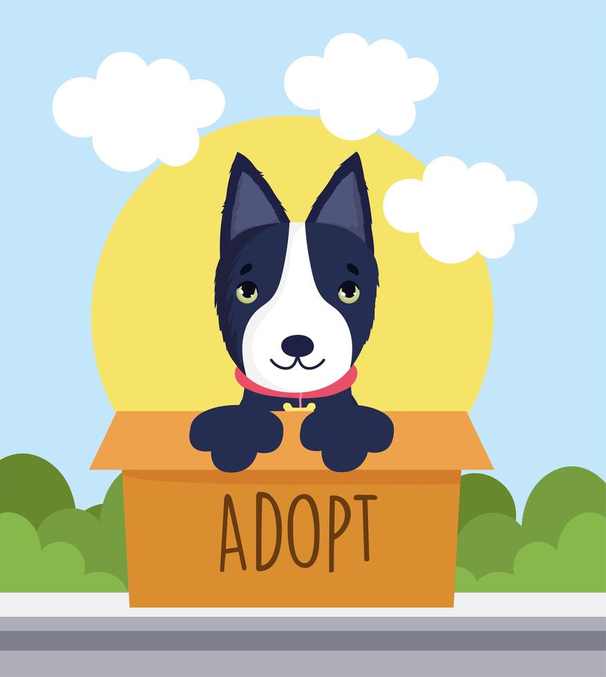 adoption bull terrier dog vector