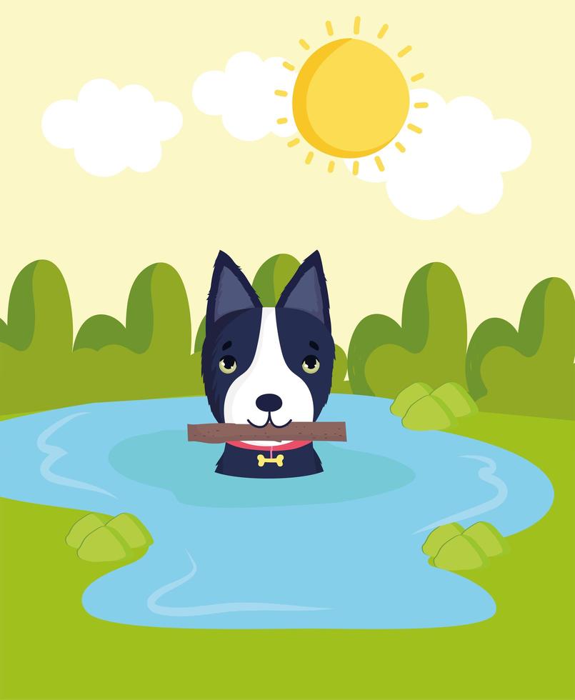 dog in water with stick vector