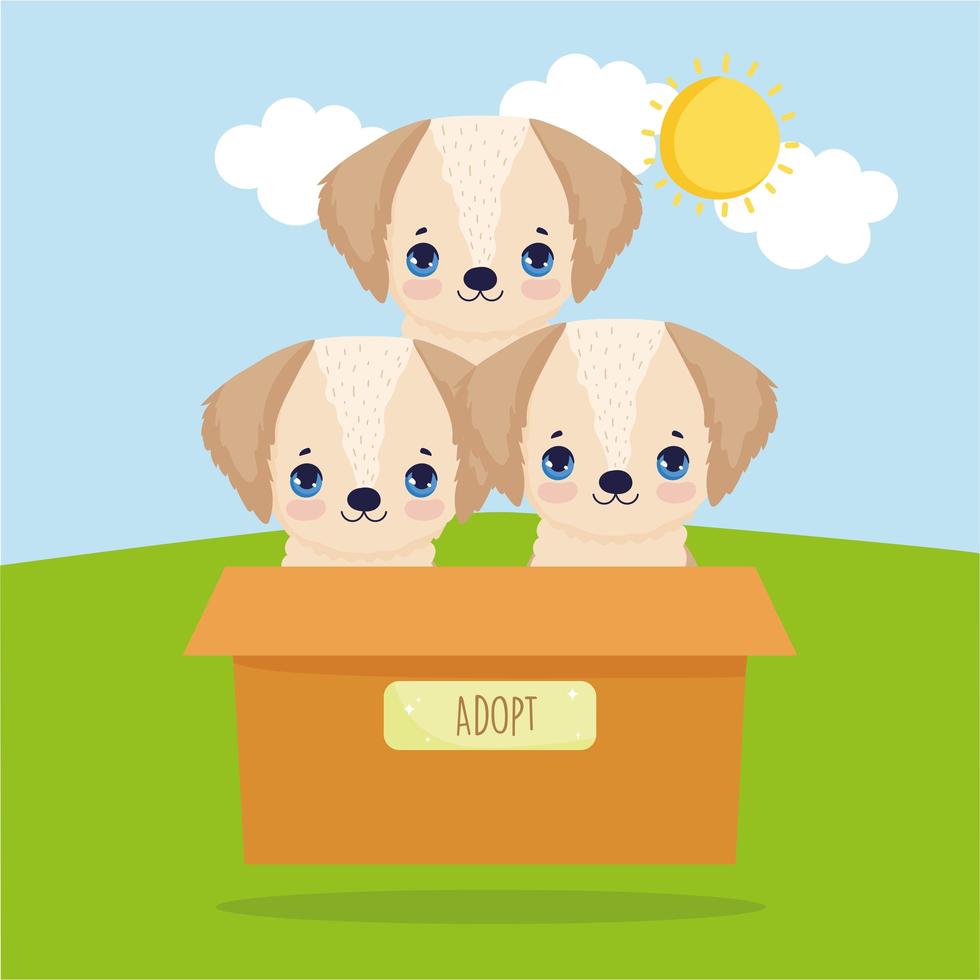 adopt puppies in box vector