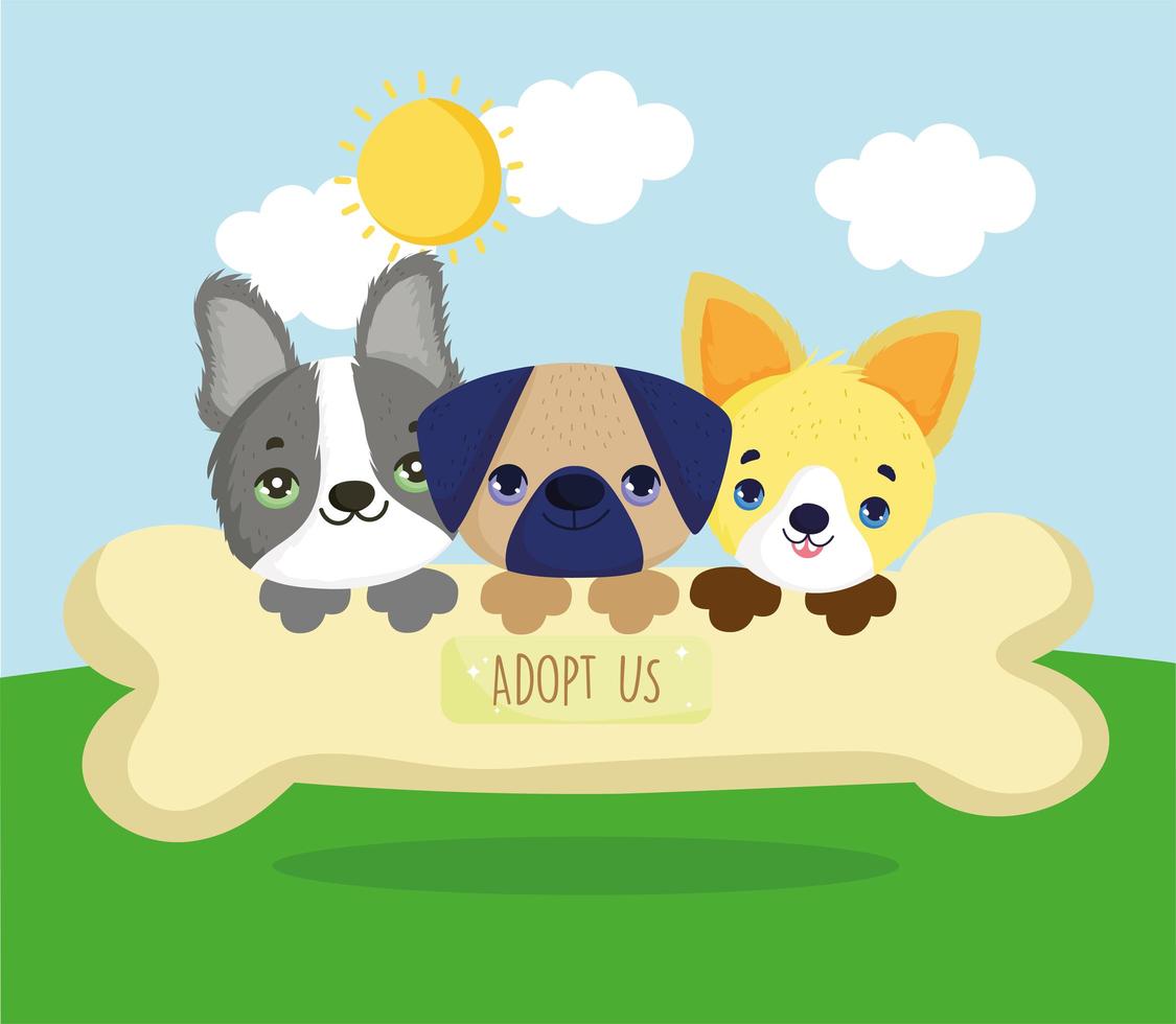 adopt us puppies vector