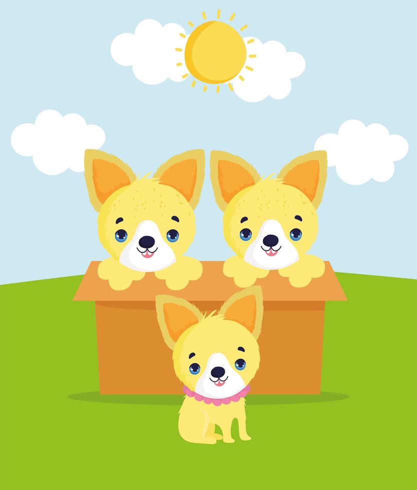 adopt us cute dogs vector