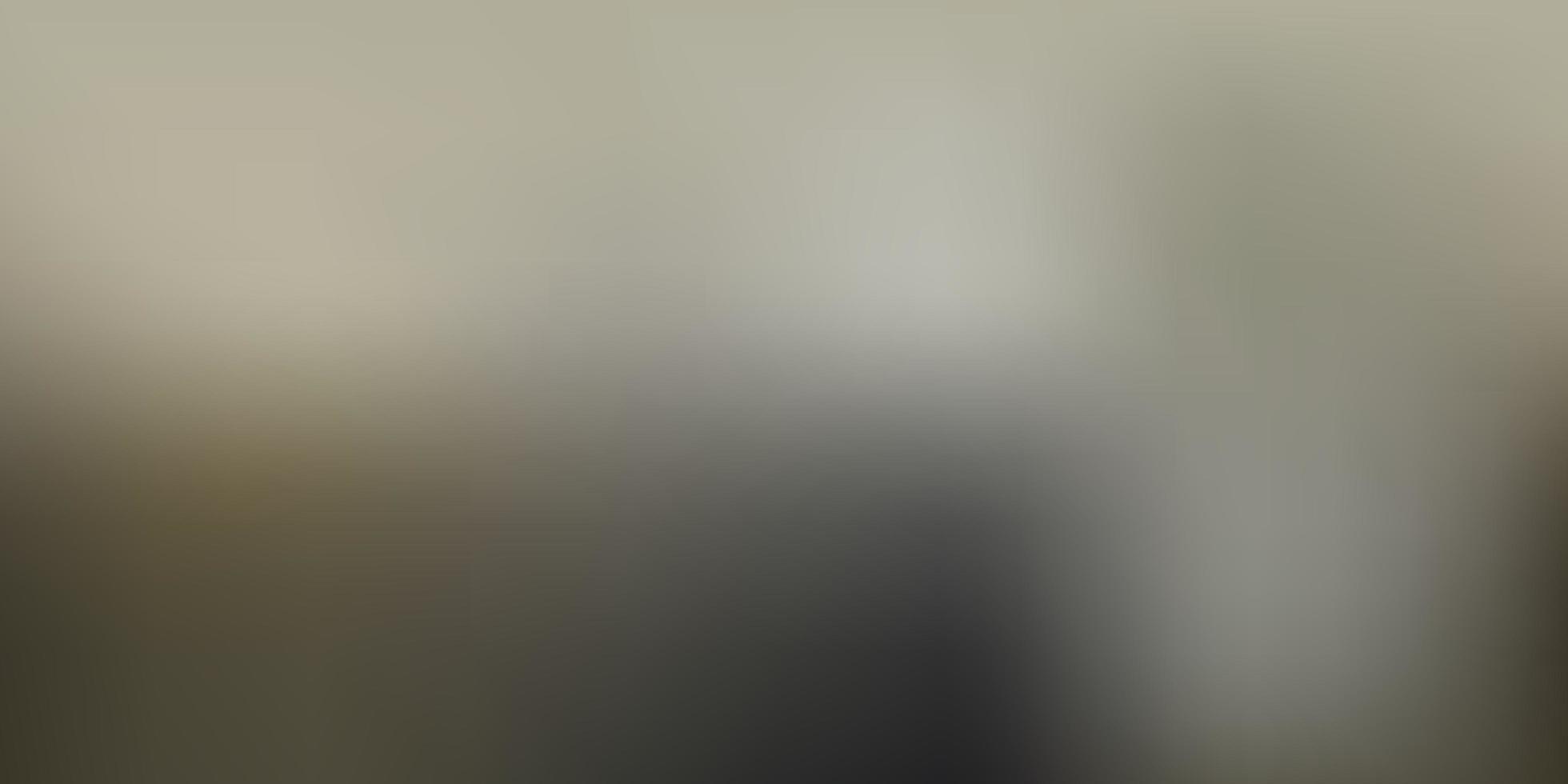 Light Gray vector gradient blur pattern.
