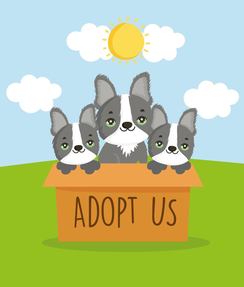 adoption cute dogs vector