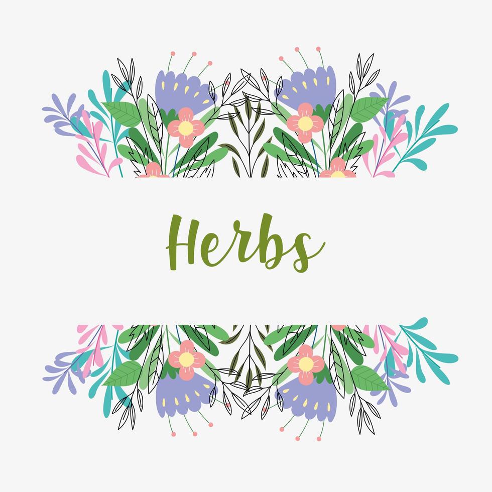 banner de flores de hierbas vector