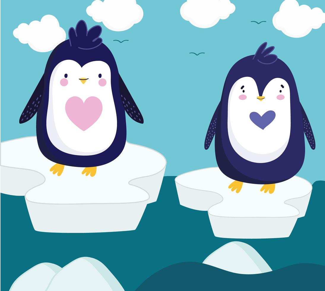 penguins standing ice vector