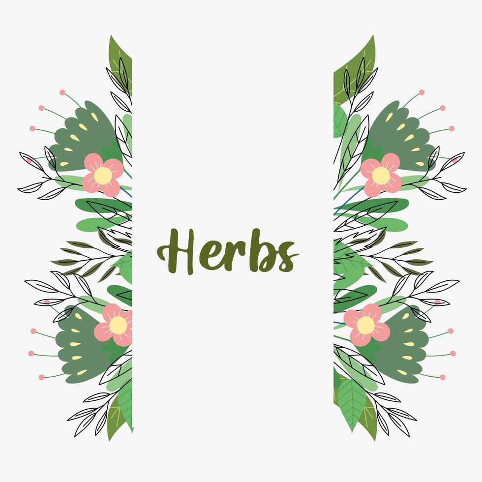 herbs vertical banner vector
