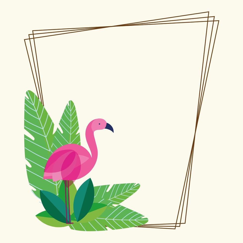 flamingo foliage frame vector