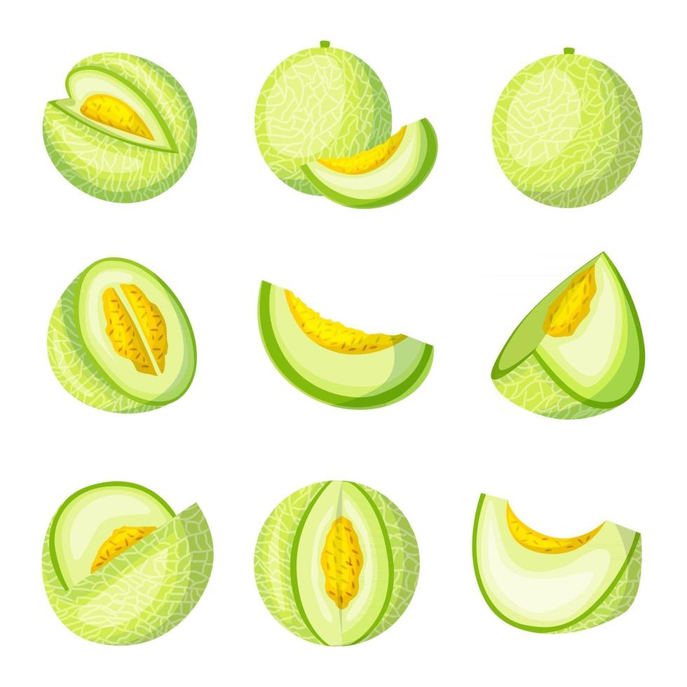 colección de iconos de frutas de melón vector