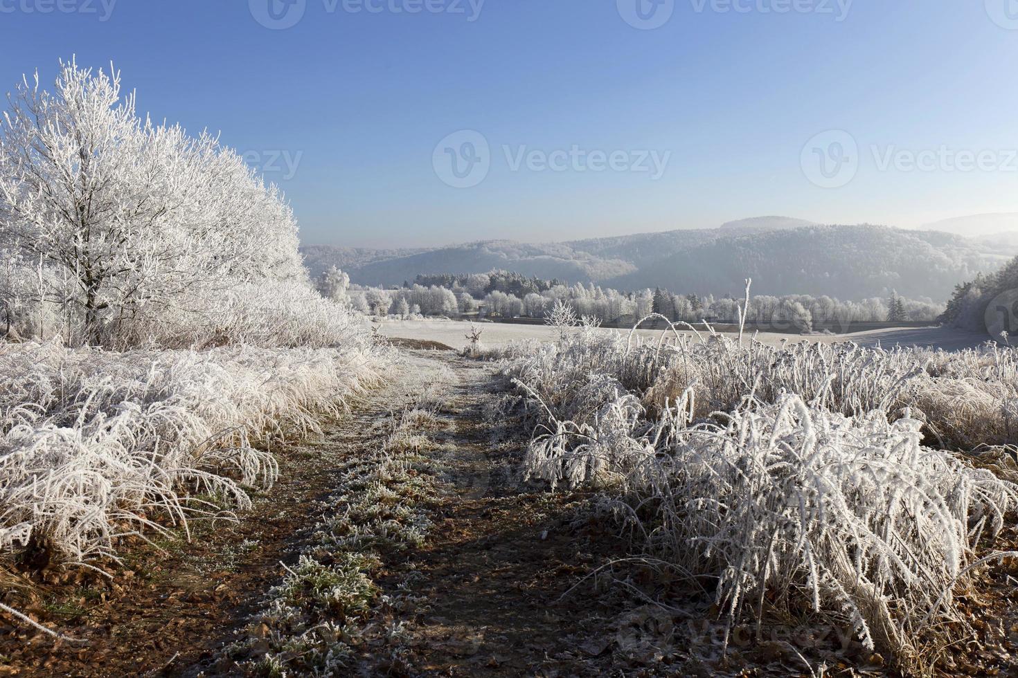 Beautiful fairytale snowy winter Countryside in Central Bohemia, Czech Republic photo