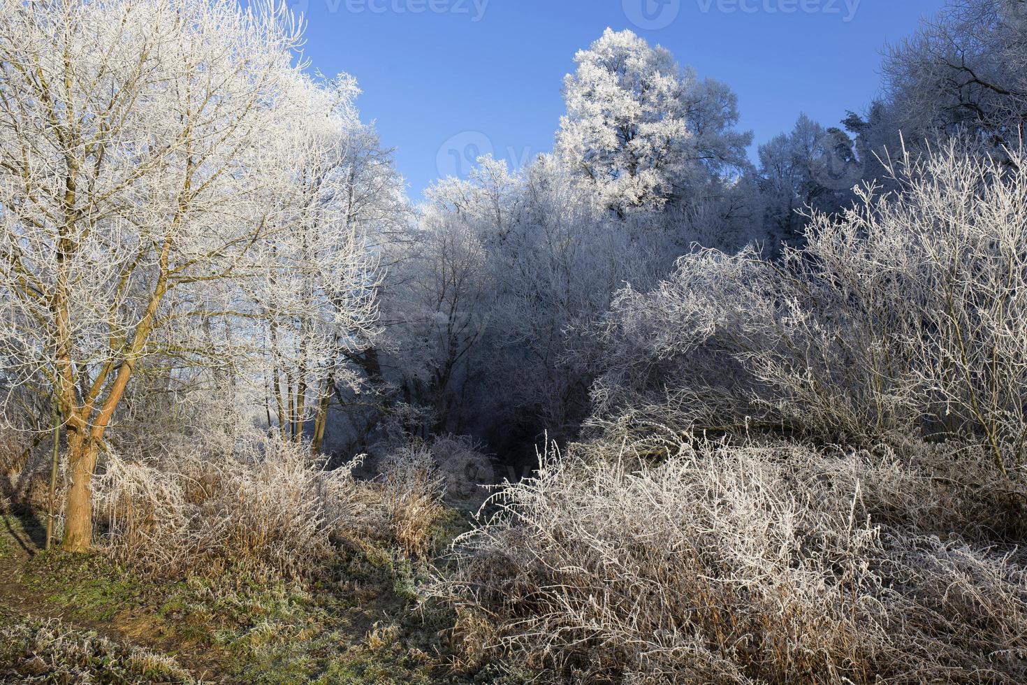 Beautiful fairytale snowy winter Countryside in Central Bohemia, Czech Republic photo