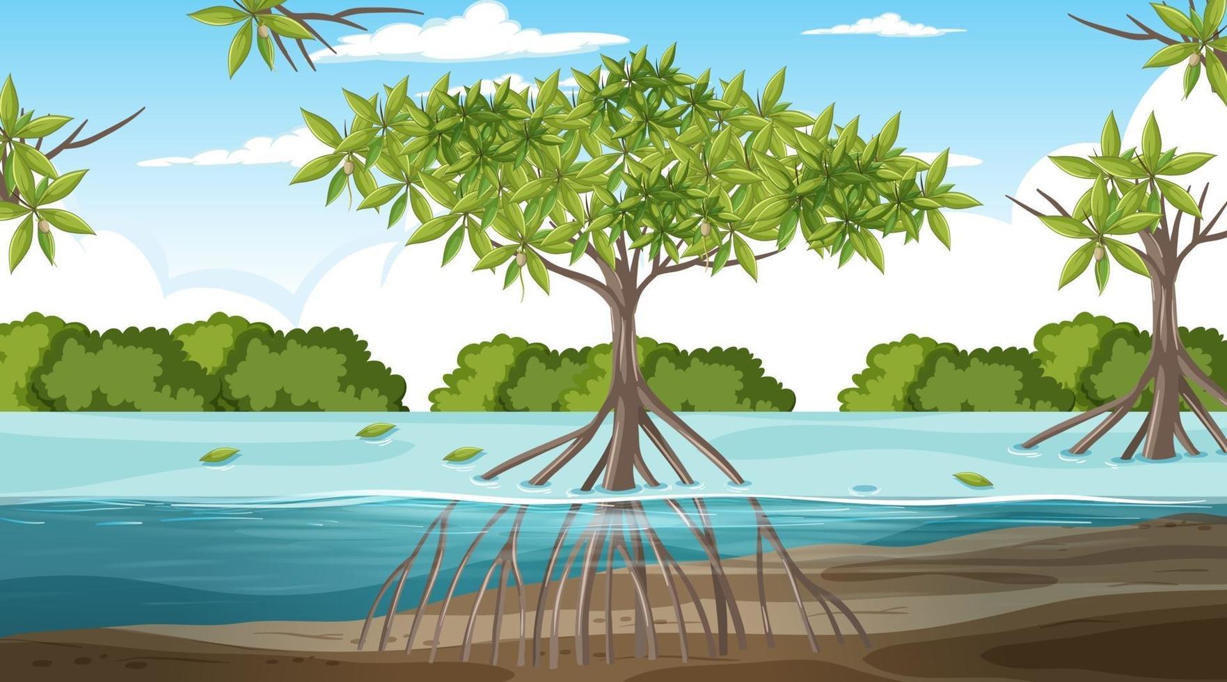 Mangrove forest landscape scene at daytime vector