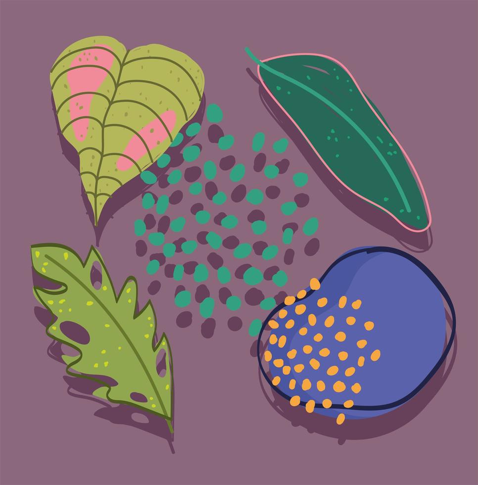 doodle contemporary exotic leaves foliage and abstract shapes vector