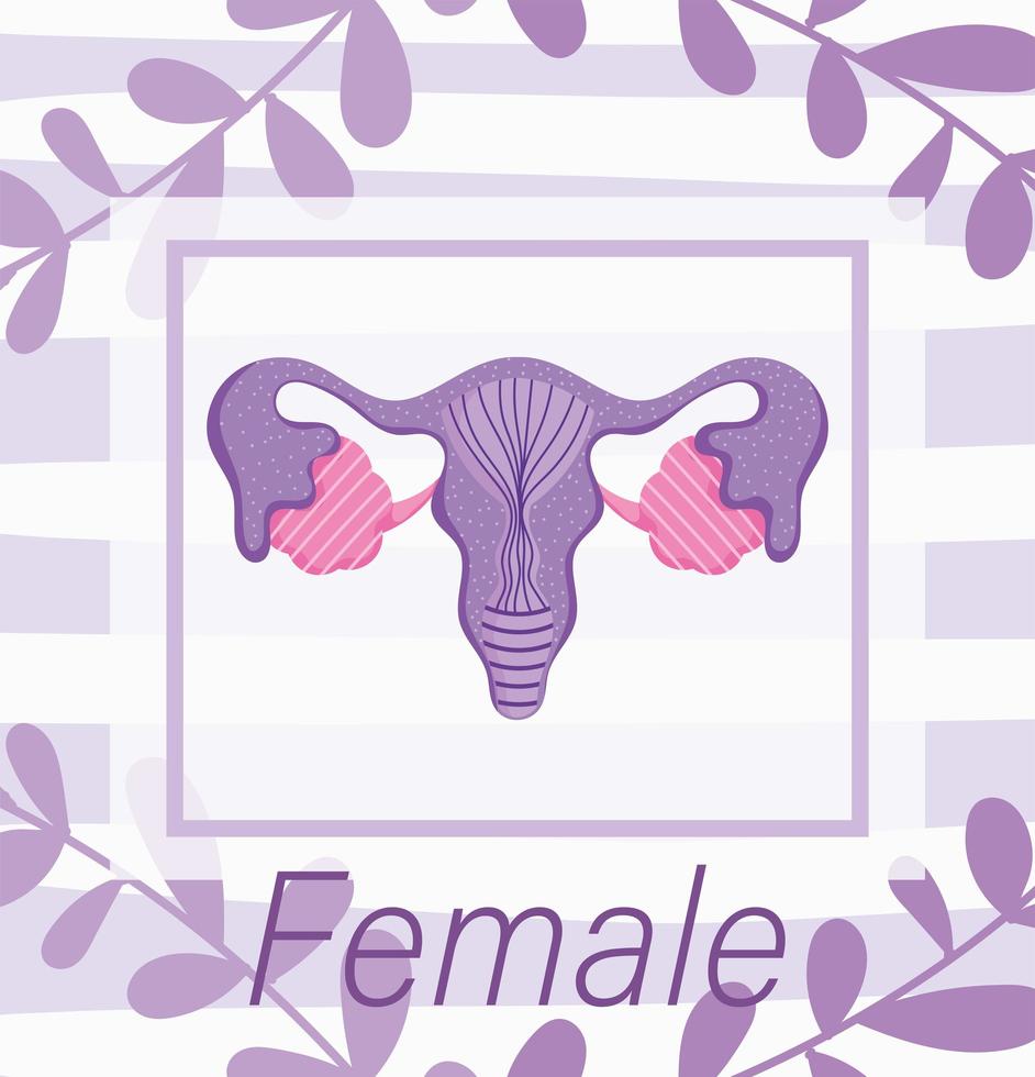 sistema reproductor humano femenino, anatomía de la biología de la naturaleza floral vector