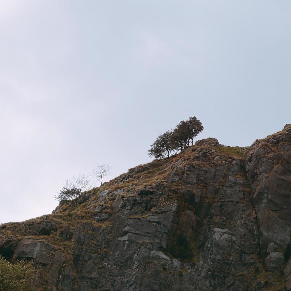 árboles en la montaña paisaje natural en bilbao españa foto