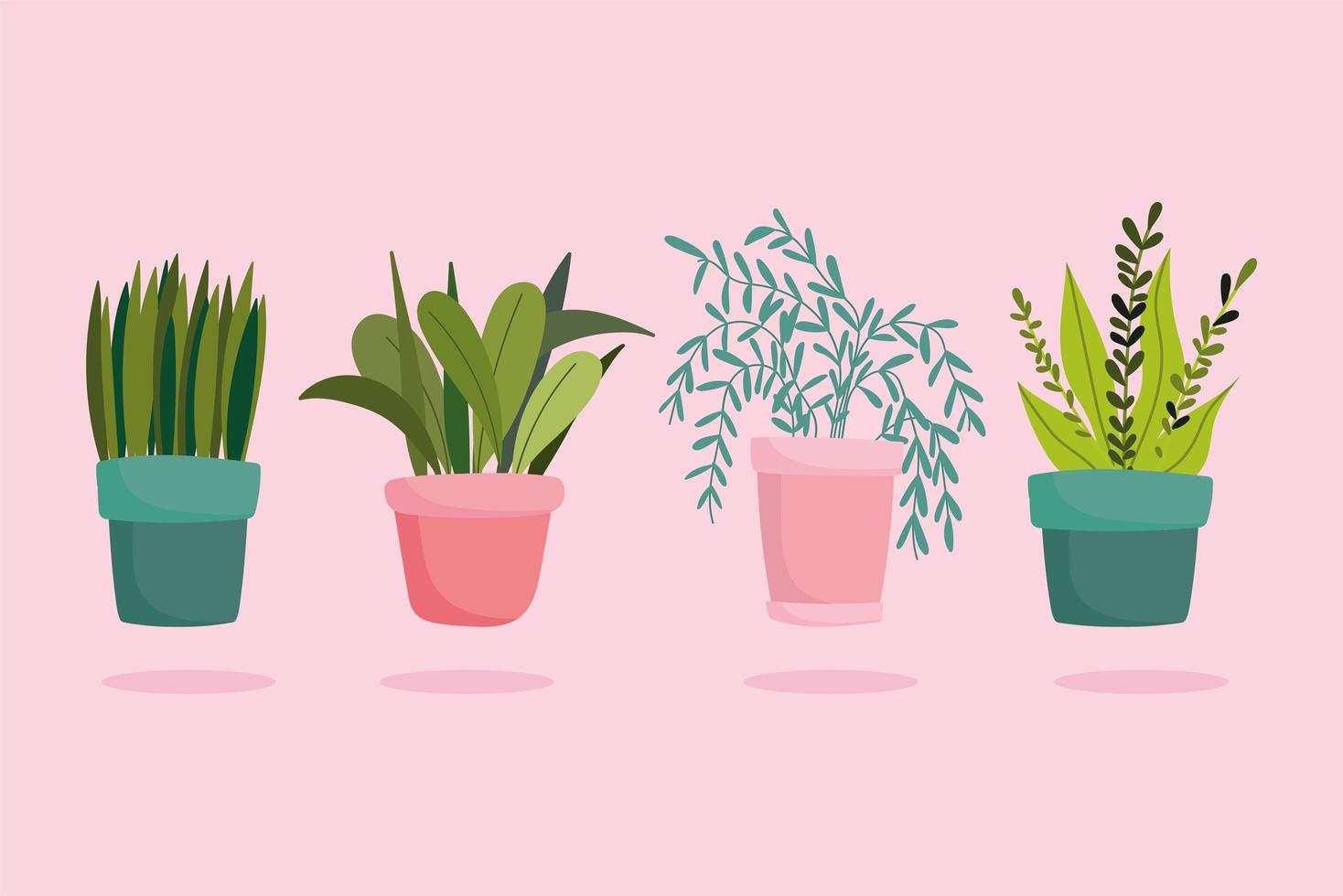 jardinería, plantas en macetas hojas follaje decoración natural vector