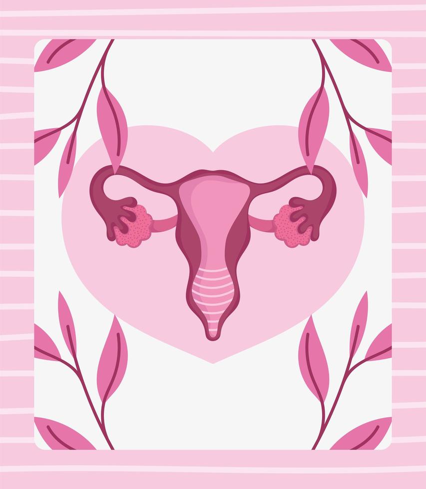 female human reproductive system, stylized with botanical elements vector