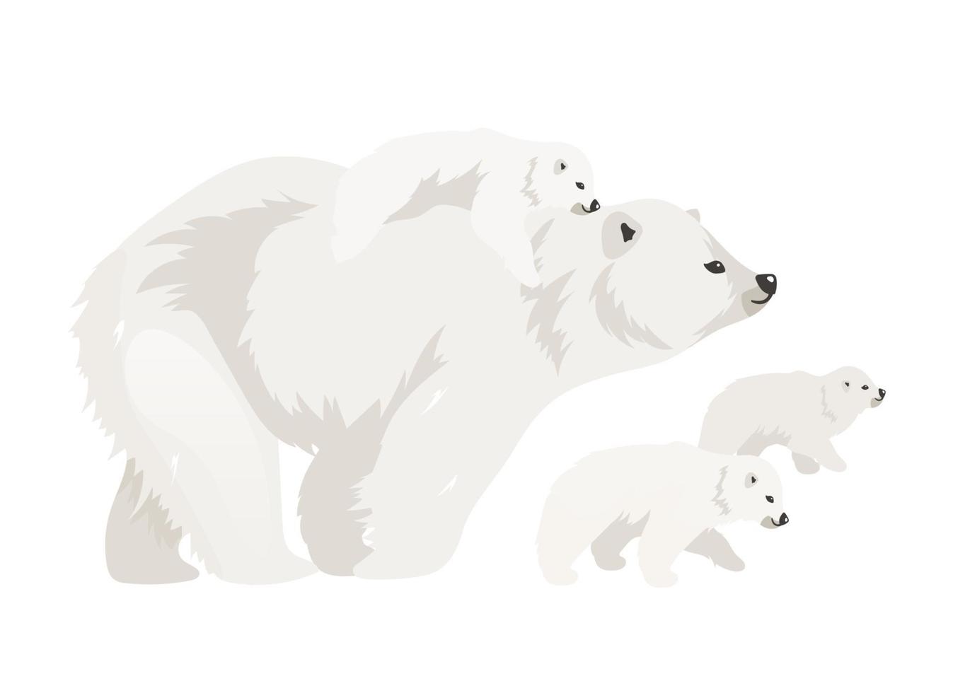 Ilustración de vector de color plano de familia de oso polar. criaturas adultas salvajes del norte caminando cachorros. madre de mamífero marino con bebé. animales árticos personajes de dibujos animados aislados sobre fondo blanco