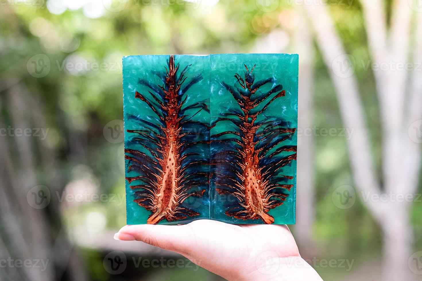 Casting epoxy resin stabilizing pine cone photo