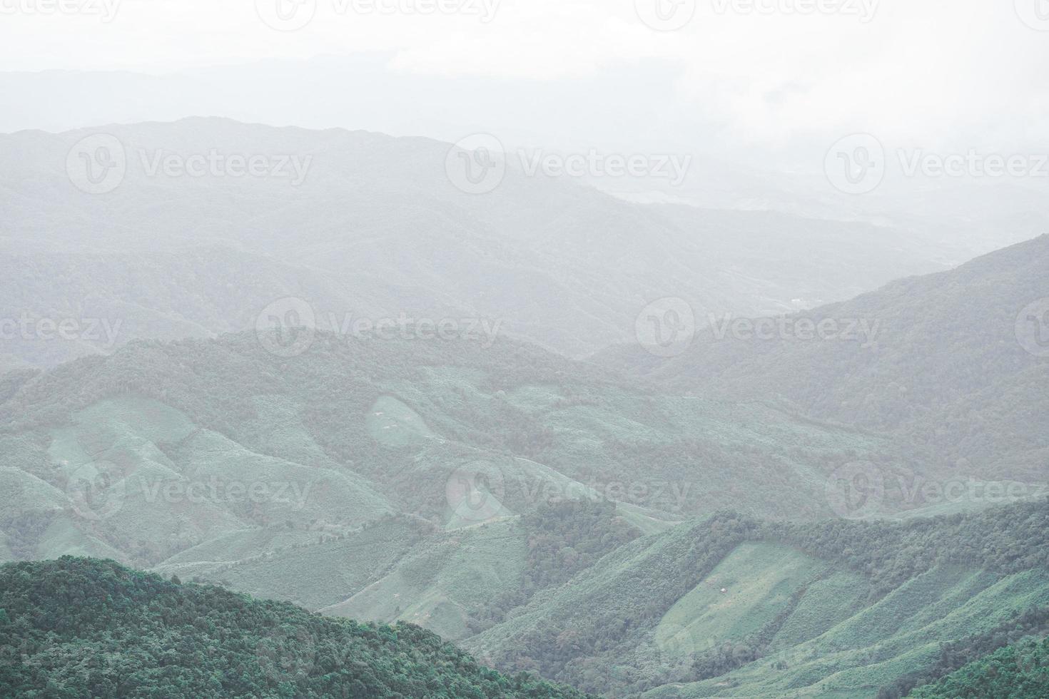 imagen panorámica del paisaje de la selva tropical verde fresca y el fondo de la montaña. foto