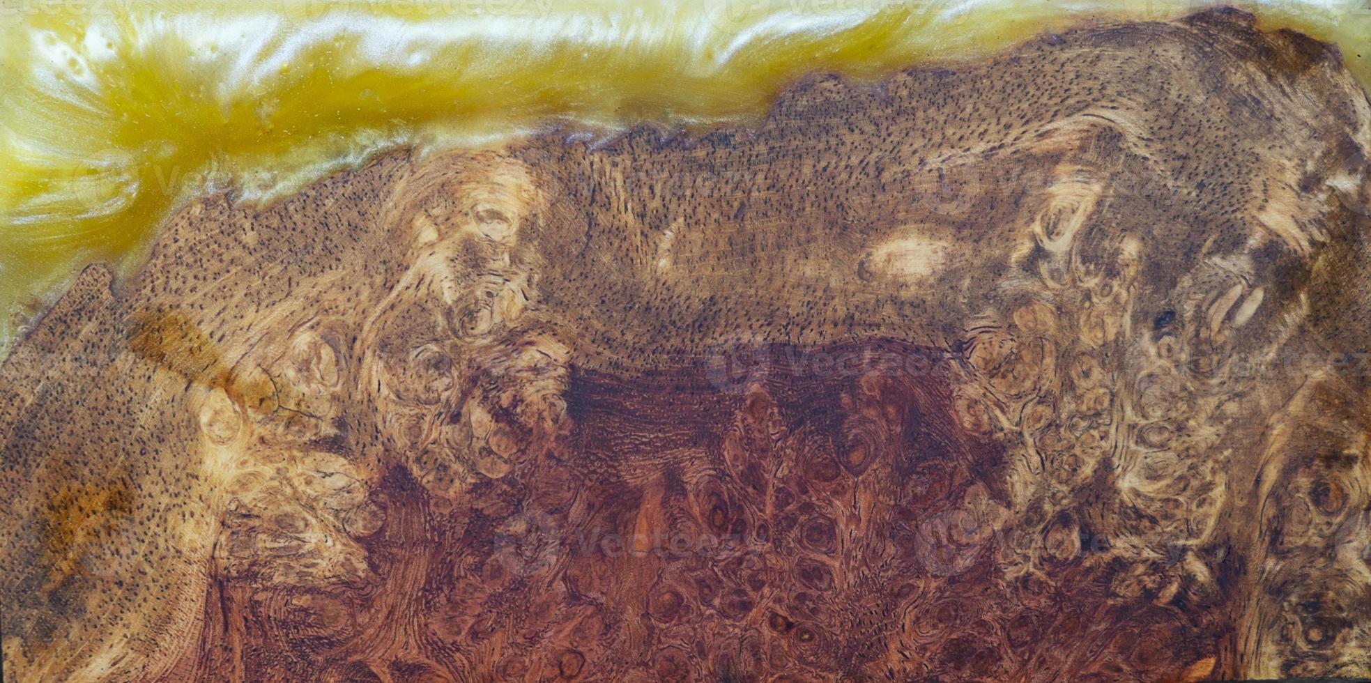 Casting epoxy resin stabilizing burl wood photo