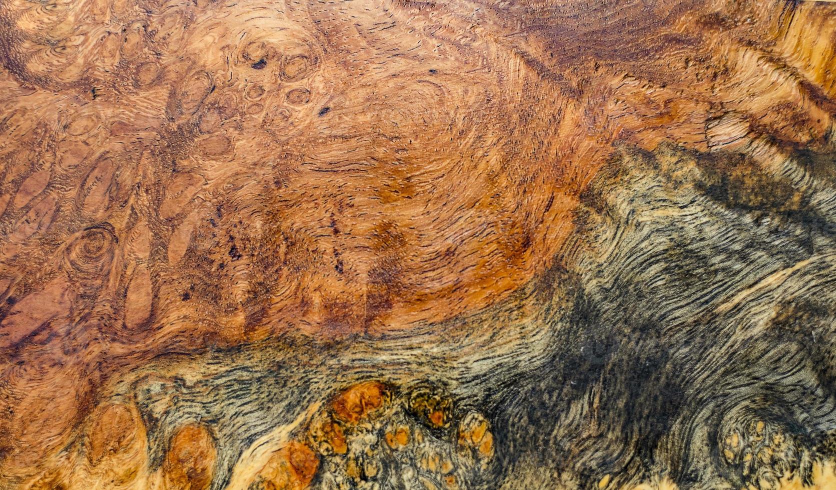 naturaleza burl madera a rayas foto