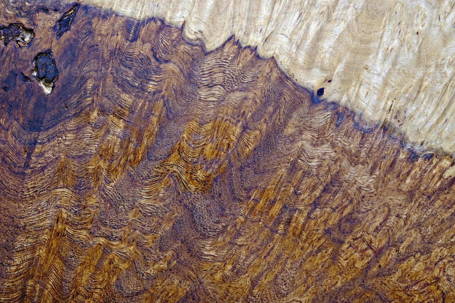 naturaleza nogal madera de burl a rayas foto