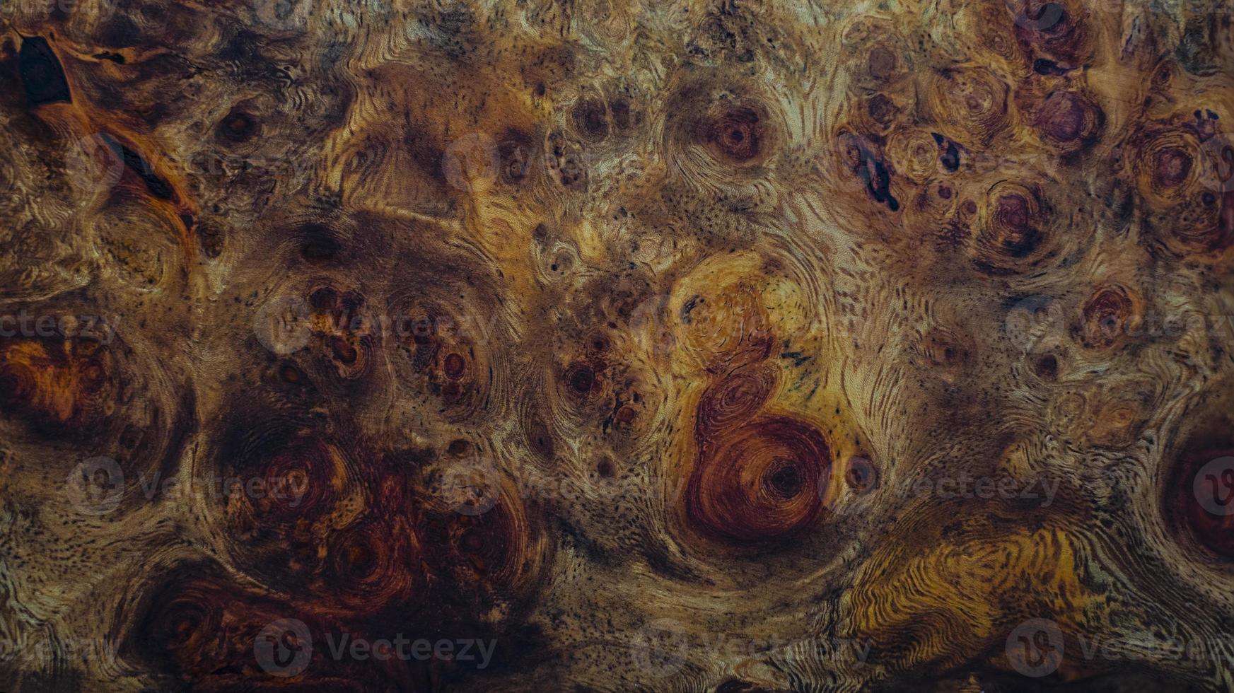 Nature burl wood striped photo