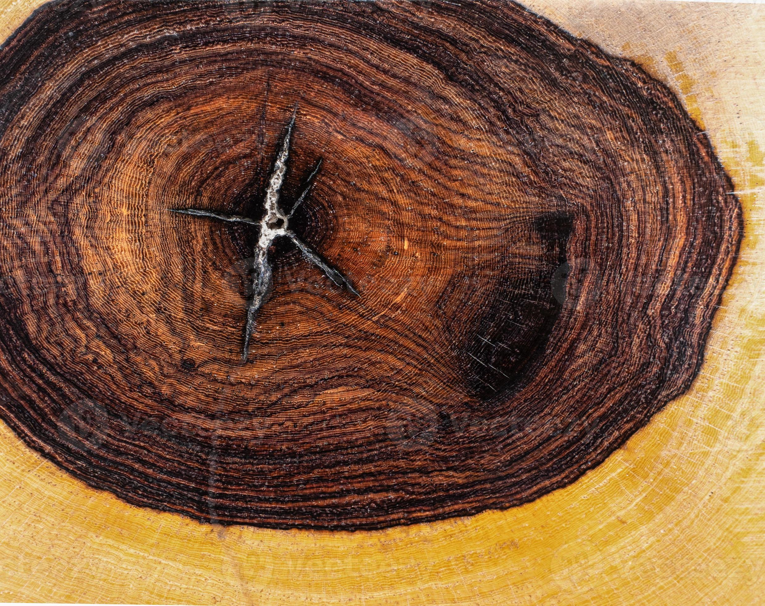 Annual ring burmese blackwood 2778798 Stock Photo at Vecteezy