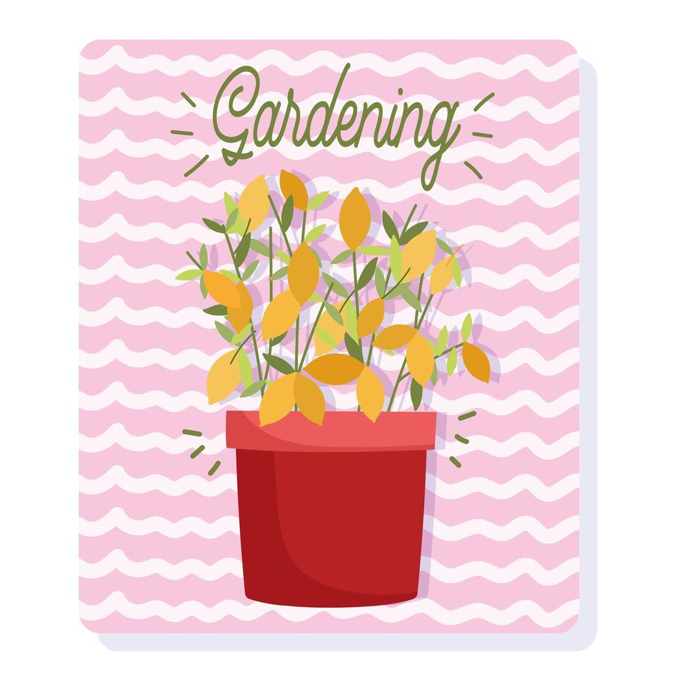 gardening, flower leaves plant in pot, stripes background card vector