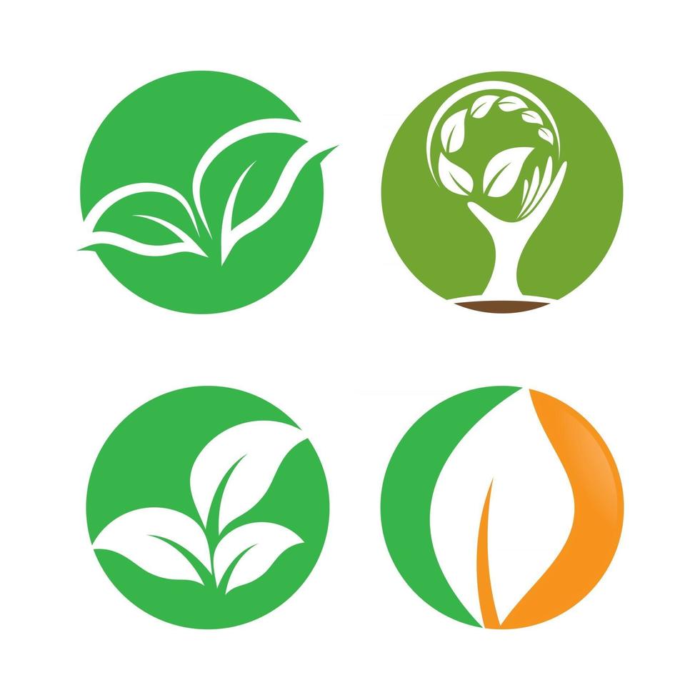 Leaf logo images vector