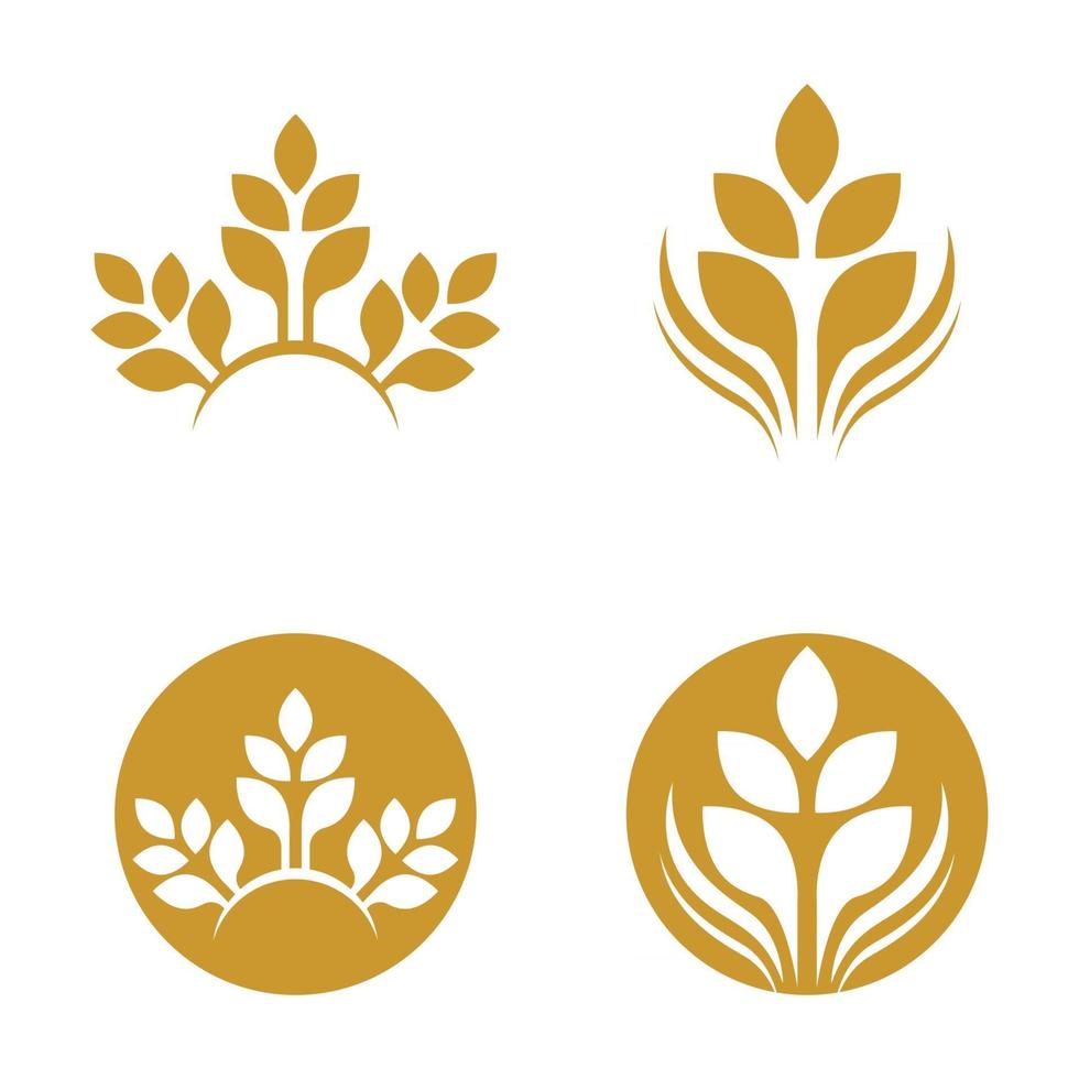 Wheat logo images vector