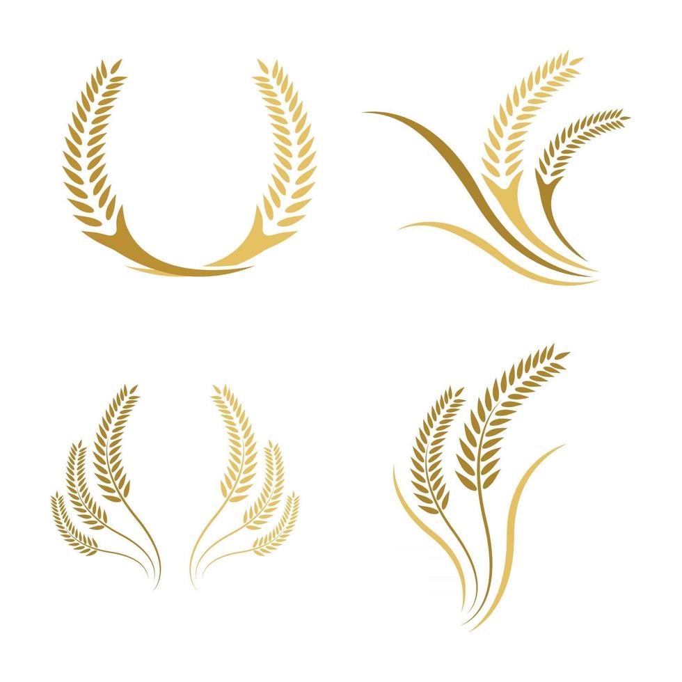 Wheat logo images vector