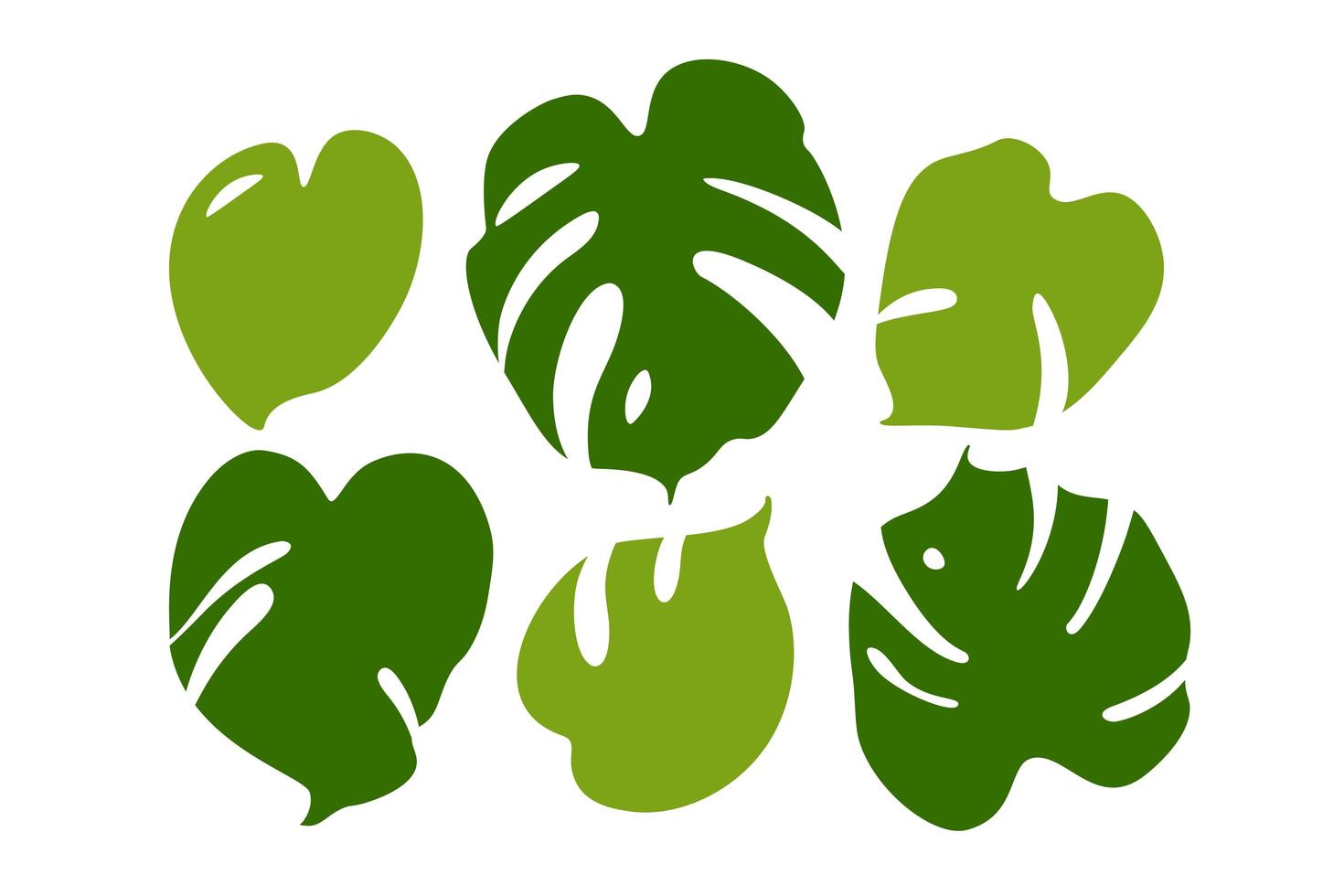 Modern set of tropical leaves monstera. Flat Vector Illustration Set Isolated on White.