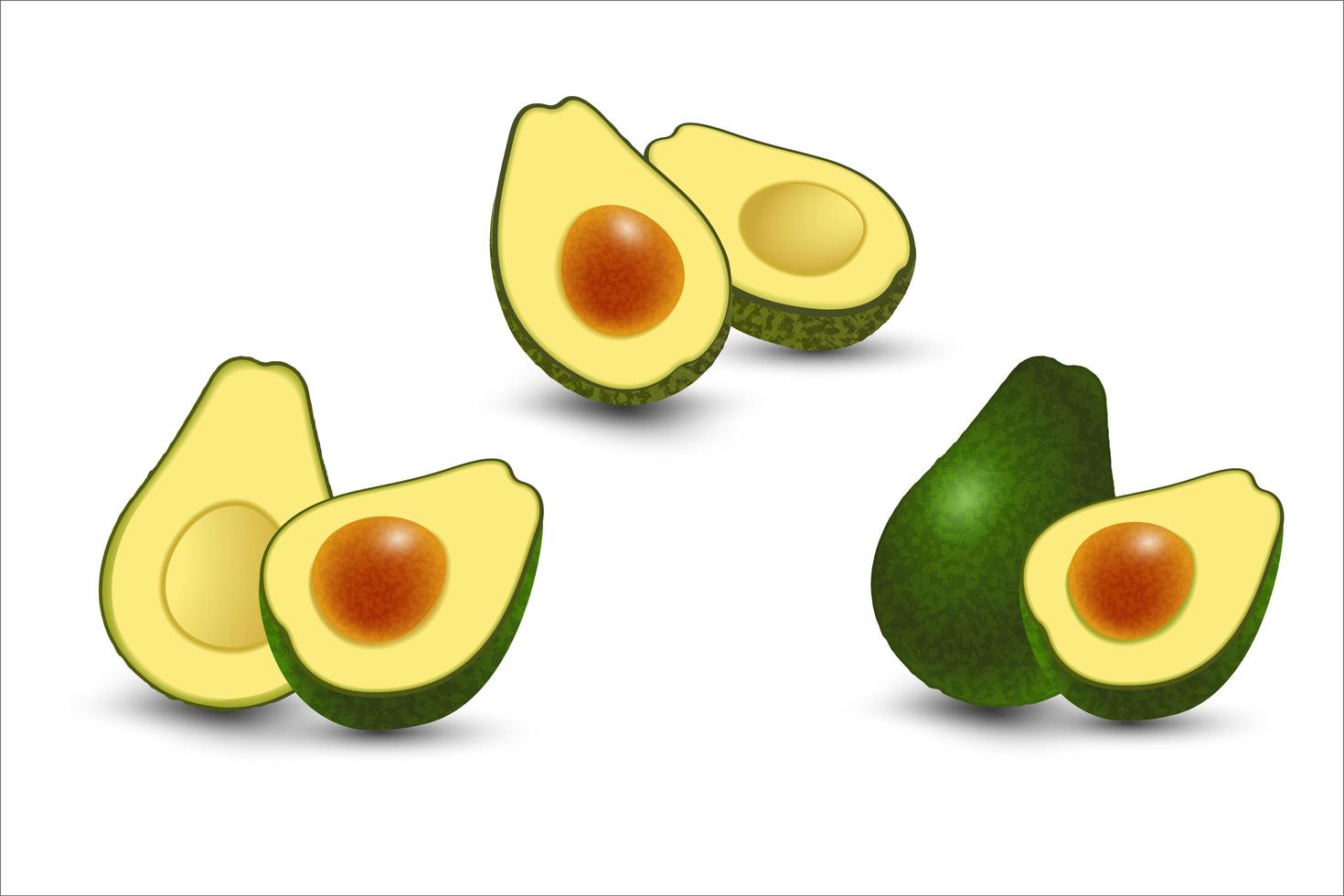 vector set realista aguacate de fruta fresca aislado sobre fondo blanco. entero y cortado por la mitad del aguacate con hueso. ilustración vectorial.