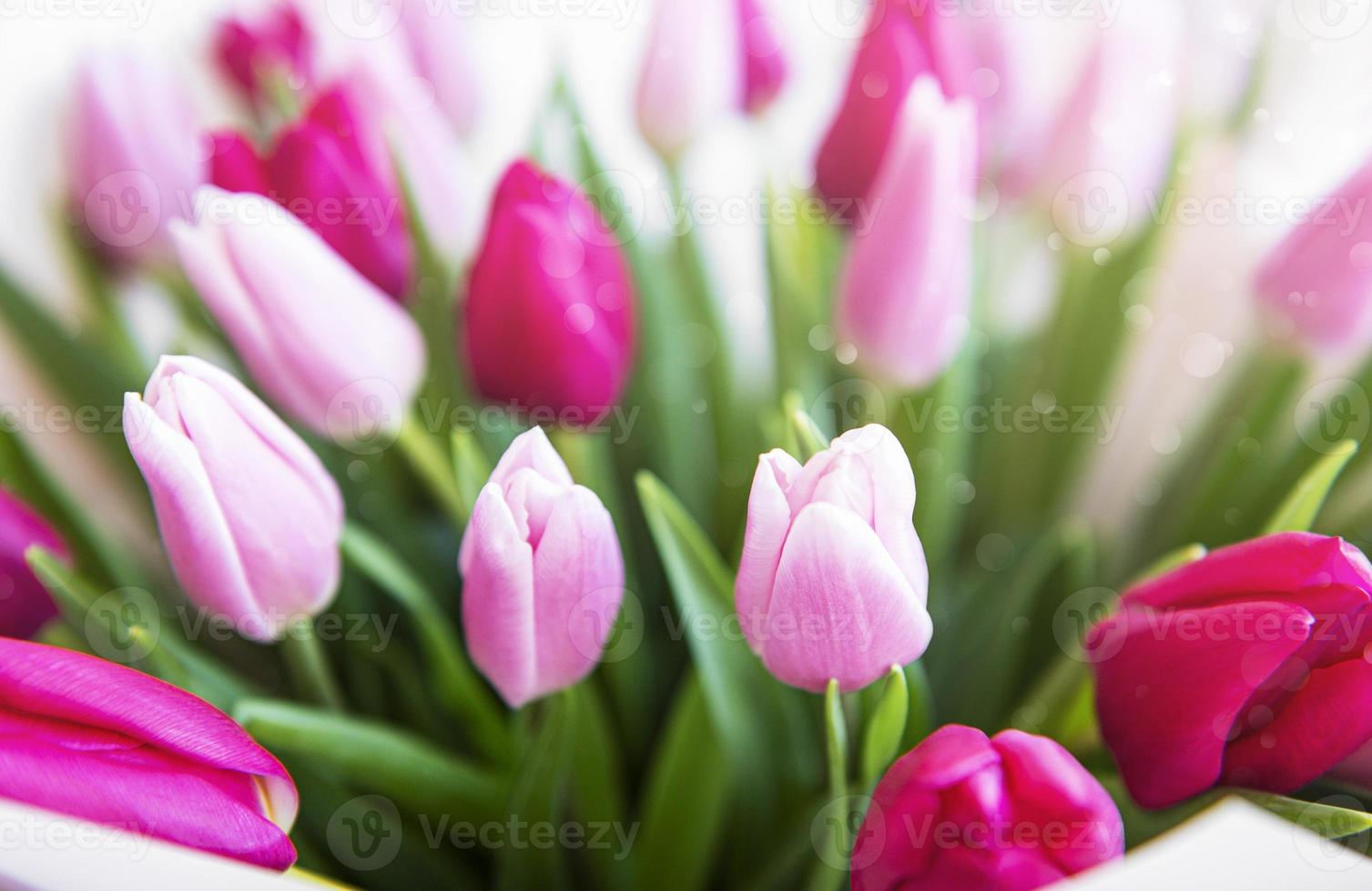 hermoso ramo de tulipanes foto