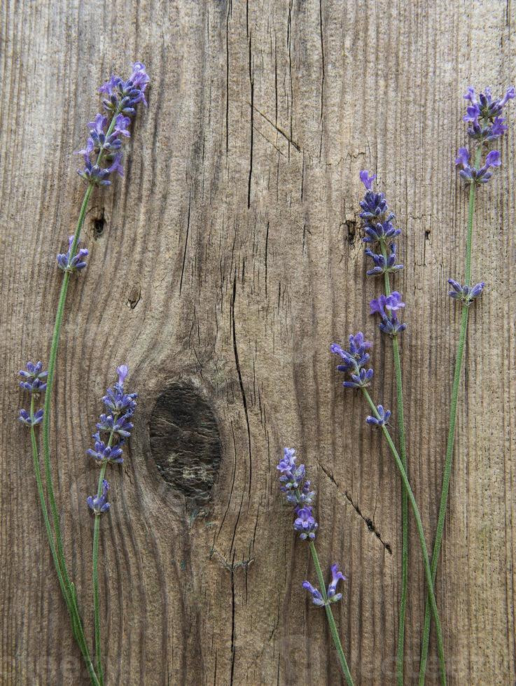 lavanda sobre un fondo de madera vieja foto